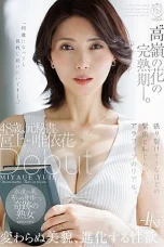 DLDSS-528